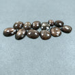 Golden Brown CHOCOLATE SAPPHIRE Gemstone Cut : 72.50cts Natural Untreated Sapphire Uneven Shape Rose Cut 11*7mm - 17*12mm 12pcs Lot