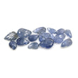 BURMESE BLUE SAPPHIRE Gemstone Carving : 17.85cts Natural Untreated Sapphire Both Side Hand Carved Leaves 6*3mm - 11*8mm 16pcs For Jewelry