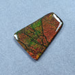 AMMOLITE Gemstone Cabochon : 80.00cts Natural Fossilized Shell Bi-Color Ammolite Uneven Shape Cabochon 46.5*35mm (With Video)