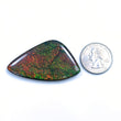 Rare Fire AMMOLITE Gemstone Cabochon : 74.80cts Natural Fossilized Shell Bi-Color Ammolite Uneven Shape Cabochon 54*31mm (With Video)