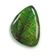 AMMOLITE Gemstone Cabochon : 104.85cts Natural Fossilized Shell Bi-Color Ammolite Uneven Shape 51*35mm (With Video)