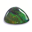 AMMOLITE Gemstone Cabochon : 104.85cts Natural Fossilized Shell Bi-Color Ammolite Uneven Shape 51*35mm (With Video)