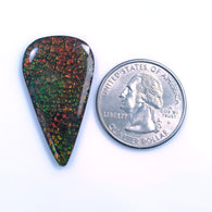 AMMOLITE Gemstone Cabochon : 19.00cts Natural Fossilized Shell Bi-Color Ammolite Pear Shape Cabochon 35*19mm (With Video)