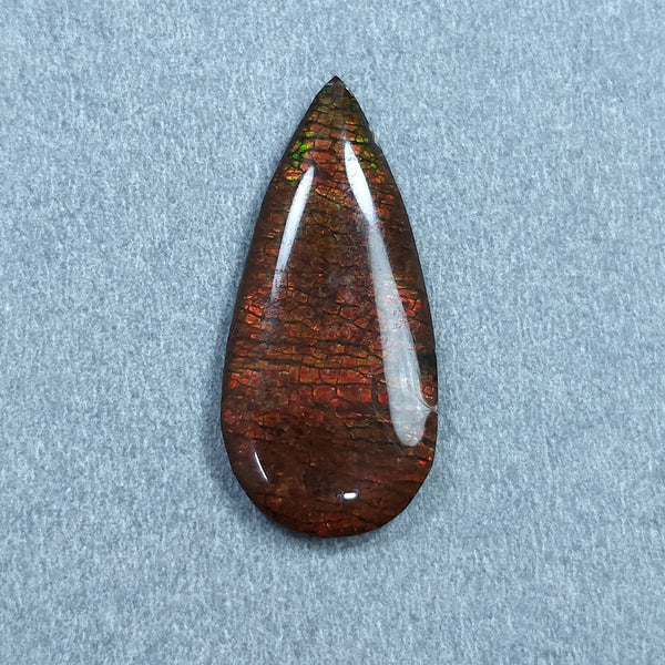 AMMOLITE Gemstone Cabochon : 10.70cts Natural Fossilized Shell Bi-Color Ammolite Pear Shape Cabochon 30*14mm (With Video)