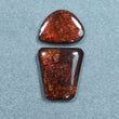 Rare Fire AMMOLITE Gemstone Cabochon : Natural Fossilized Shell Bi-Color Ammolite Uneven Shape Cabochon 1pc (With Video)