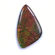 Rare Fire AMMOLITE Gemstone Cabochon : 74.80cts Natural Fossilized Shell Bi-Color Ammolite Uneven Shape Cabochon 54*31mm (With Video)