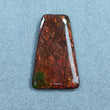 AMMOLITE Gemstone Cabochon : 43.20cts Natural Fossilized Shell Bi-Color Ammolite Trapezium Shape Cabochon 39*25mm (With Video)