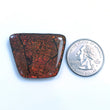 AMMOLITE Gemstone Cabochon : 56.90cts Natural Fossilized Shell Bi-Color Ammolite Trapezium Shape Cabochon 29*36mm (With Video)