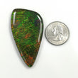 AMMOLITE Gemstone Cabochon : 105.45cts Natural Fossilized Shell Bi-Color Ammolite Uneven Shape Cabochon 59*32mm (With Video)