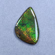 AMMOLITE Gemstone Cabochon : 106.75cts Natural Fossilized Shell Bi-Color Ammolite Uneven Shape Cabochon 56*35mm (With Video)