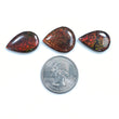AMMOLITE Gemstone Cabochon : 29.20cts Natural Fossilized Shell Bi-Color Ammolite Pear 21*14mm - 22*17mm 3pcs (With Video)