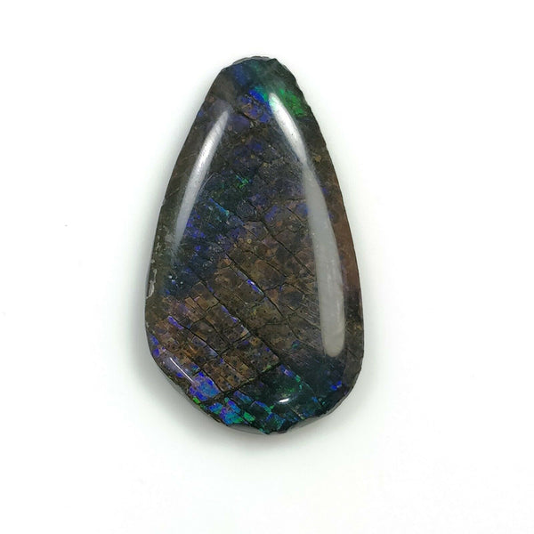 AMMOLITE Gemstone Cabochon : 11.75cts Natural Fossilized Shell Bi-Color Ammolite Uneven Shape 28*16mm (With Video)