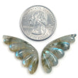 23.85cts Natural Untreated LABRADORITE Gemstone Hand Carved BUTTERFLY 32*13mm Pair For Earring
