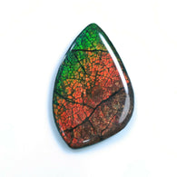 AMMOLITE Gemstone Cabochon : 89.70cts Natural Fossilized Shell Bi-Color Ammolite Uneven Shape 54*35mm (With Video)