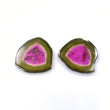 15.84cts Natural Untreated Watermelon TOURMALINE Gemstone Trillion Shape Flat Slices 20*19mm Pair For Jewelry