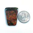AMMOLITE Gemstone Cabochon : 49.10cts Natural Fossilized Shell Bi-Color Ammolite Uneven Shape 26*37mm (With Video)