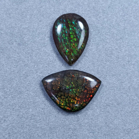 Rare Ammolite