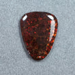 AMMOLITE Gemstone Cabochon : Natural Fossilized Shell Bi-Color Ammolite Uneven Shape Cabochon 14*20mm -  24*19mm 1pc