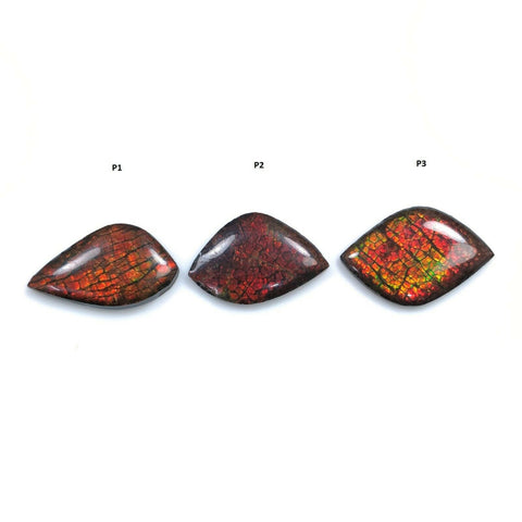 Natural Ammolite