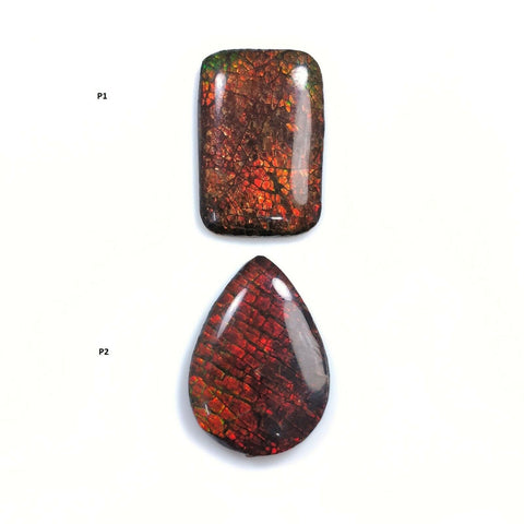 AMMOLITE Gemstone Cabochon : Natural Fossilized Shell Bi-Color Ammolite Pear Shape Cabochon 21*14.5mm -  22*16mm 1pc
