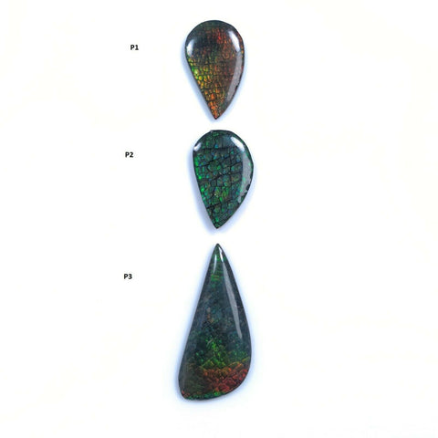 Ammolite Gemstone