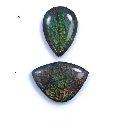 Ammolite Gemstone